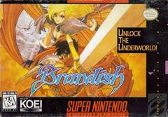 Nintendo SNES Brandish [Loose Game/System/Item]